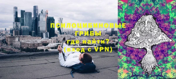 эйфоретик Гусь-Хрустальный