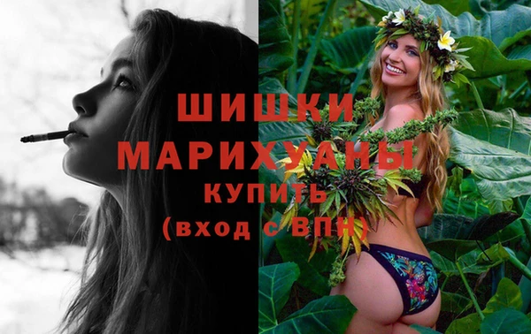ПСИЛОЦИБИНОВЫЕ ГРИБЫ Пересвет