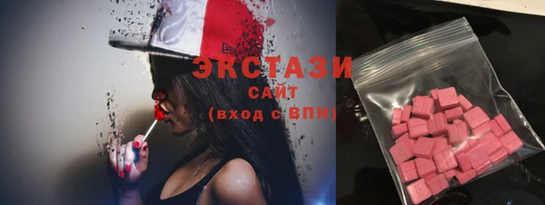 эйфоретик Гусь-Хрустальный
