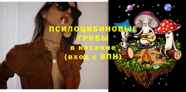 ешки Гусиноозёрск