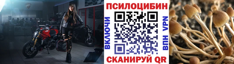 Псилоцибиновые грибы ЛСД  купить наркотики цена  Ессентукская 